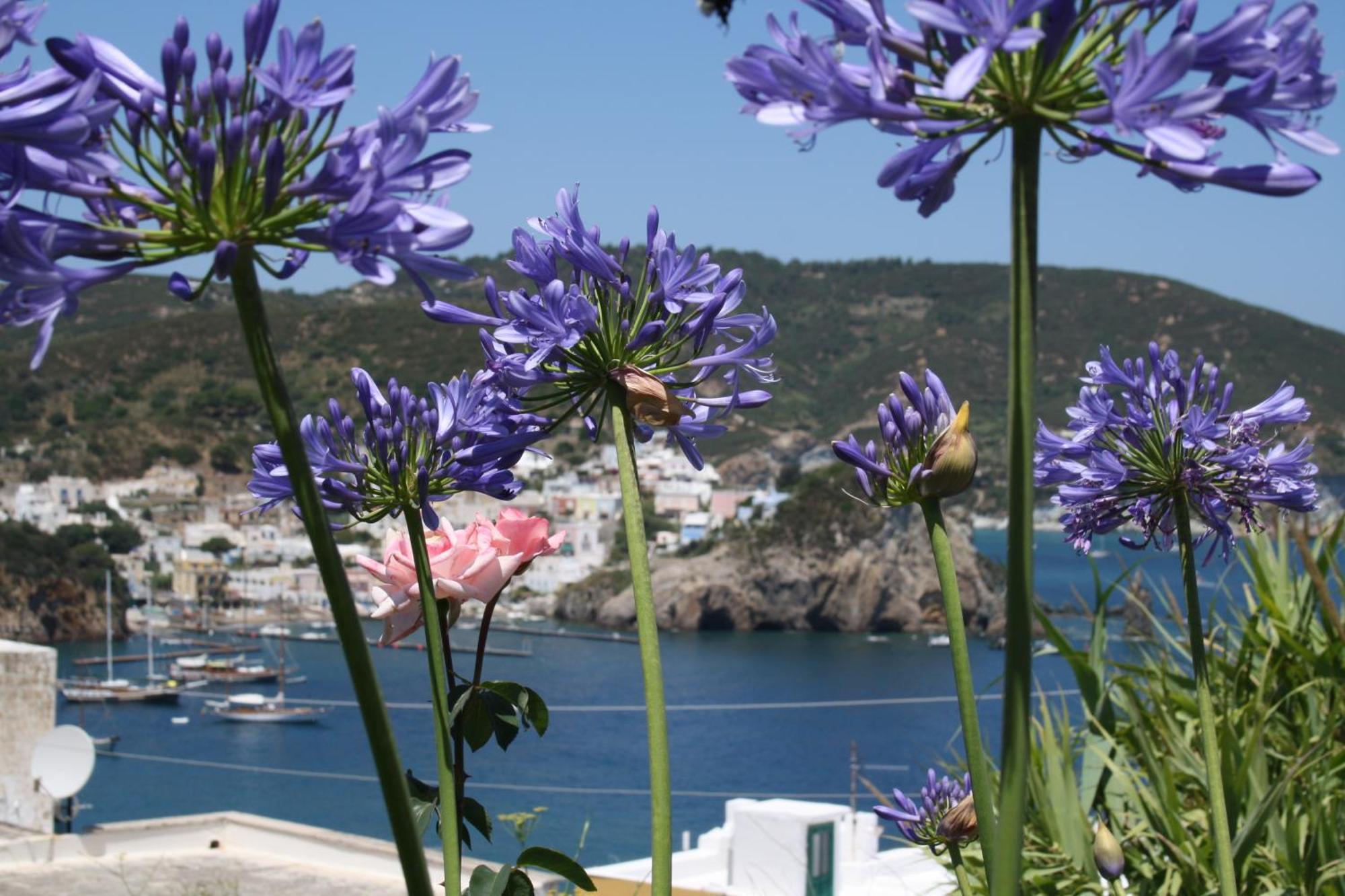 Villa Ersilia Ponza Luaran gambar