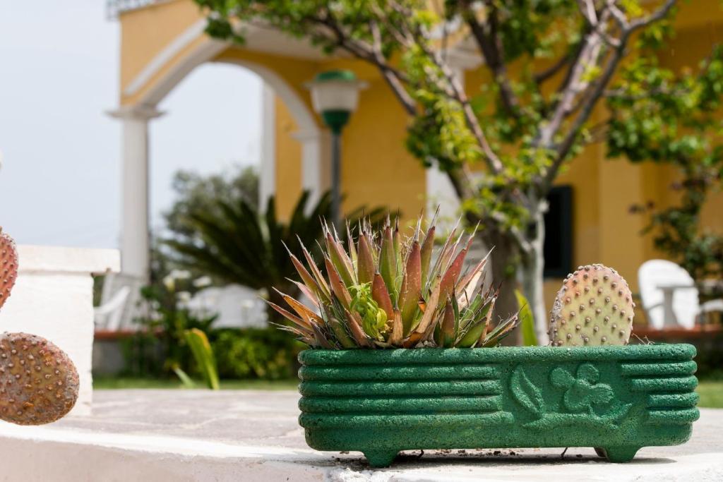 Villa Ersilia Ponza Luaran gambar