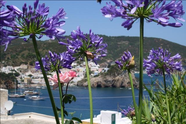 Villa Ersilia Ponza Luaran gambar